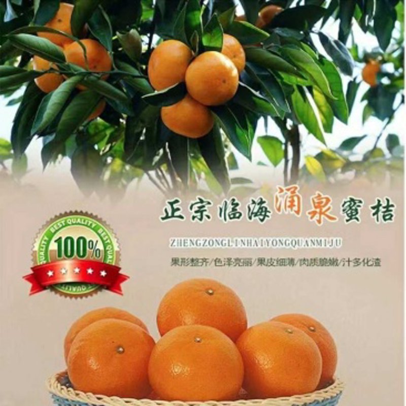 在现代农业的发展趋势下，如何构建高效、环保的蔬菜种植基地成为了一个热门话题。本文将通过对比分析不同模式的蔬菜种植基地，探讨其优劣，并提出改进建议。
